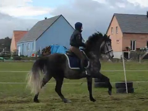 Jocasso pas - galop à main droite