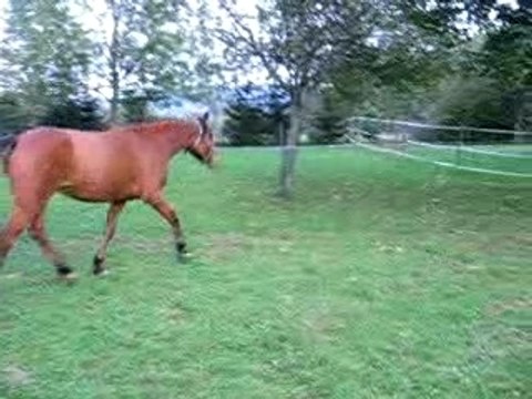 Une des premieres séances en liberté
