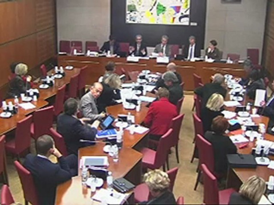 Suite de la présentation du rapport sur la vie associative