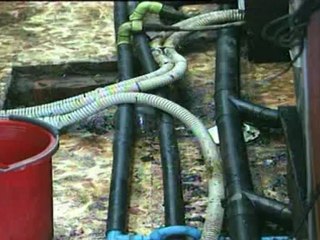 acqua alta stato di calamita