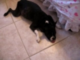 BABY HAVING A HARD DAY