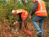 Gemeentewerf en Stichting NOVO werken samen aan schoner straatbeeld - RTV Noord