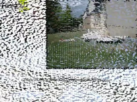 Aménagement complet, allée, entrée de garage terrasses et plantations