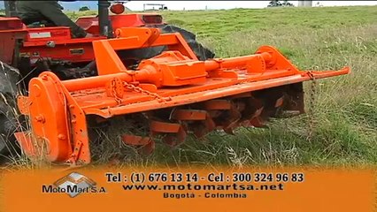 10 NOVIEMBRE 2012 europa blonde d`aurach dr eller web