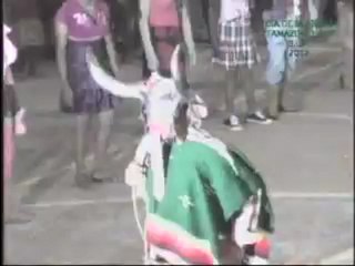 especial dia de muertos rancho nuevo y san martin chalchicuatla tamazunchale nov-2012--2