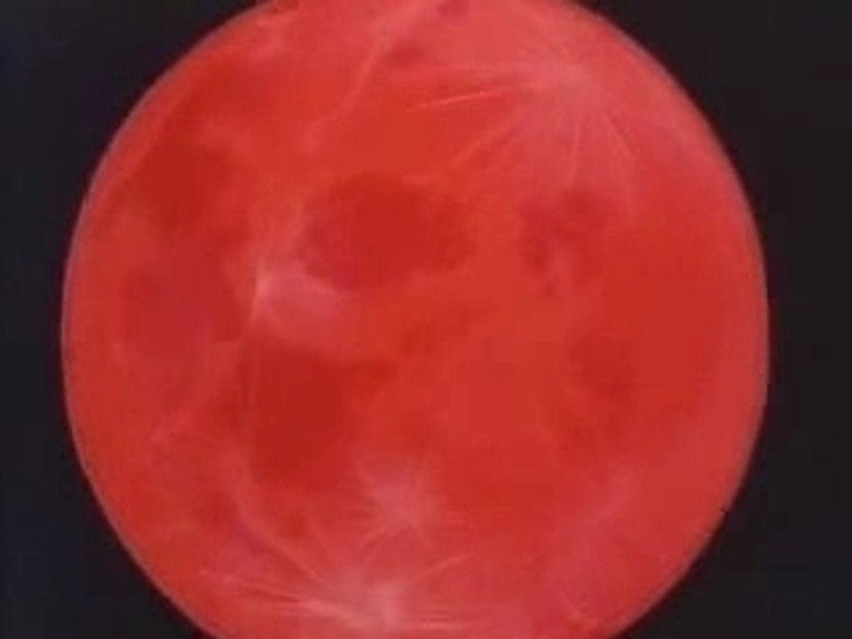 Generique japonais DBZ 1er epoque