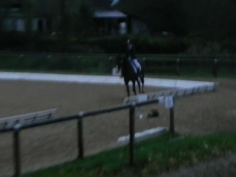 Dressage Championnats