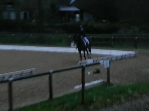 Dressage Championnats