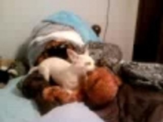 Rico and his Teddy Bear