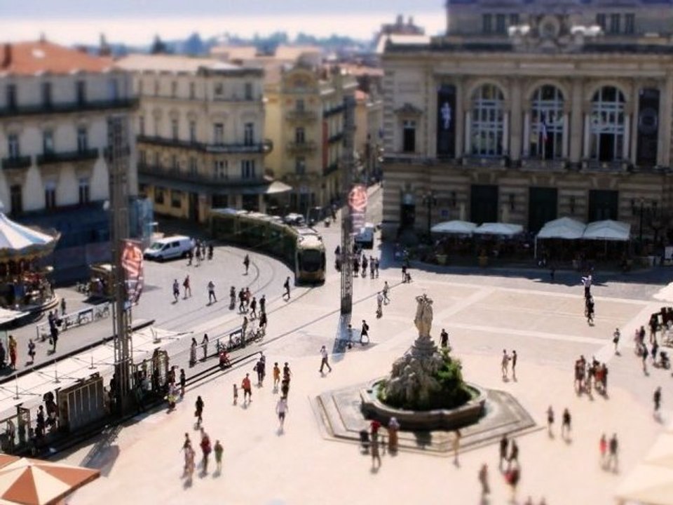 Concours CCI "Montpellier fait son film" - A Wonderful day in heart of Montpellier