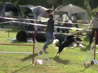 Montage Tania et Eïka  en agility