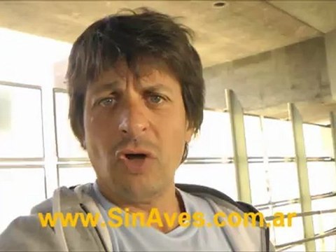 Excelente método para ahuyentar palomas y otros pájaros o aves plaga