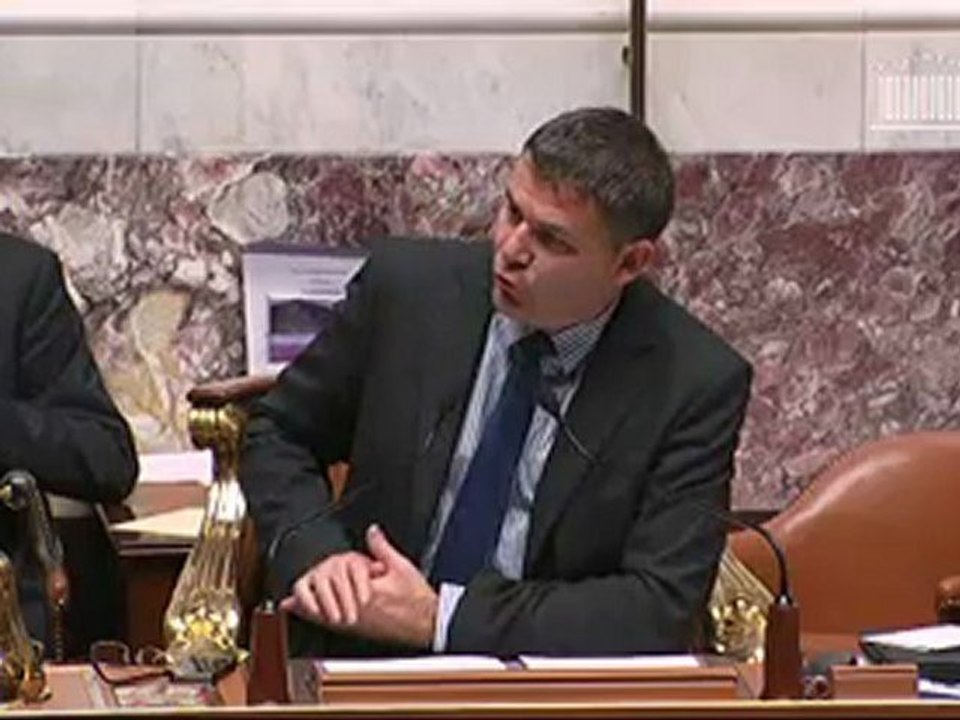 Assemblée nationale budget Défense 2013 question au ministre de Marianne Dubois