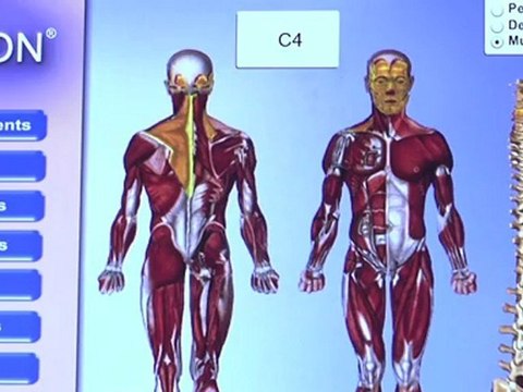 Welcome to Chiropractic Care Centre