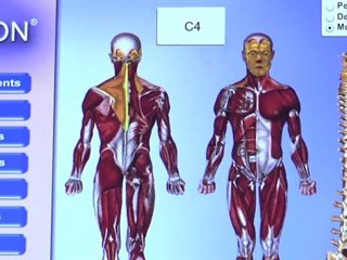 Welcome to Chiropractic Care Centre