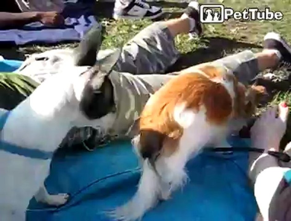 Terror in the park