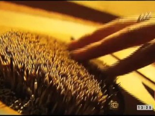 Exposition Très toucher au Palais de la Découverte - France 2