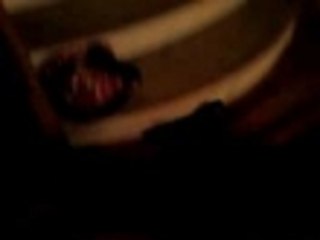 Charlie and the laserpointer