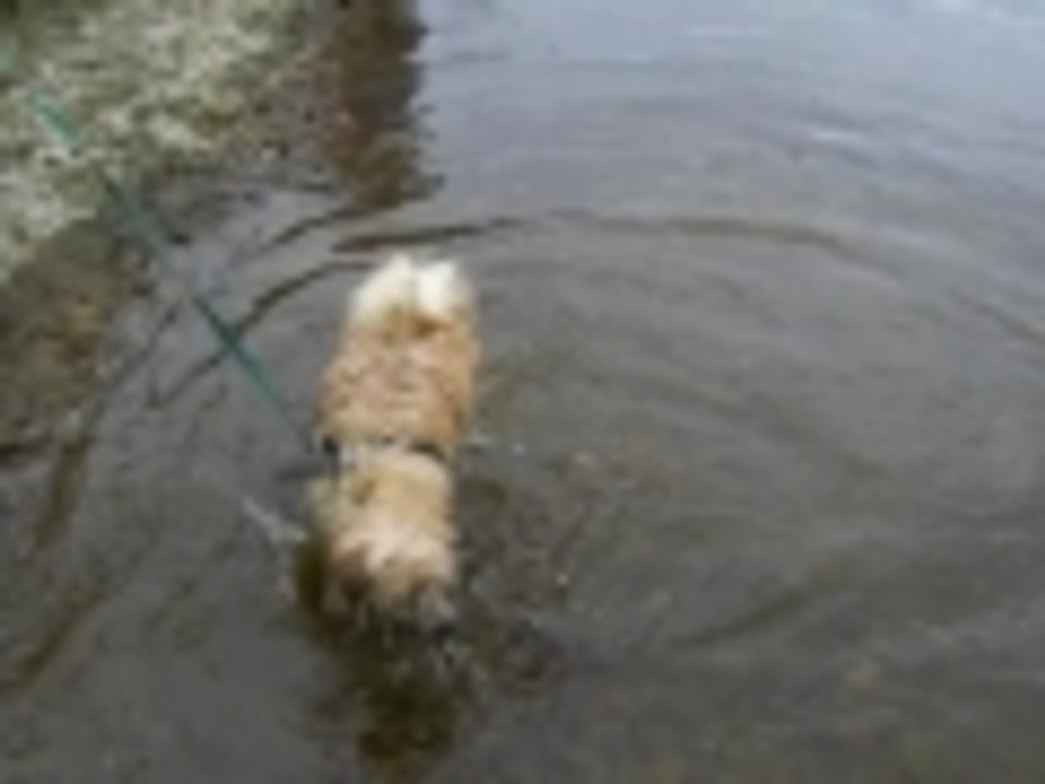 catching water