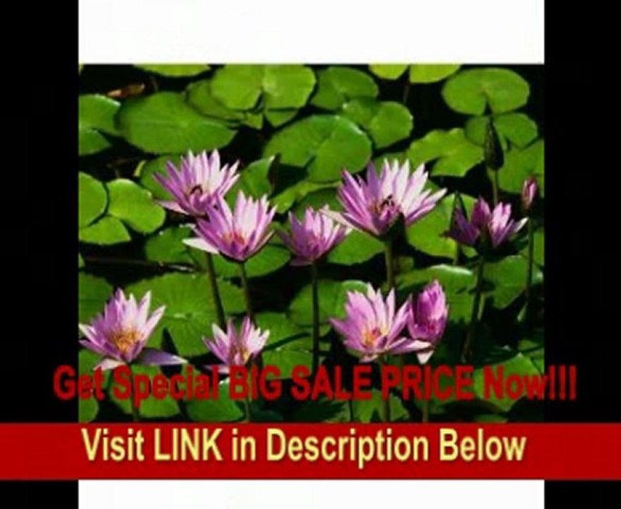 SPECIAL DISCOUNT HP Pavilion tx2500z 12.1 High-Definition HP BrightView Touch-screen