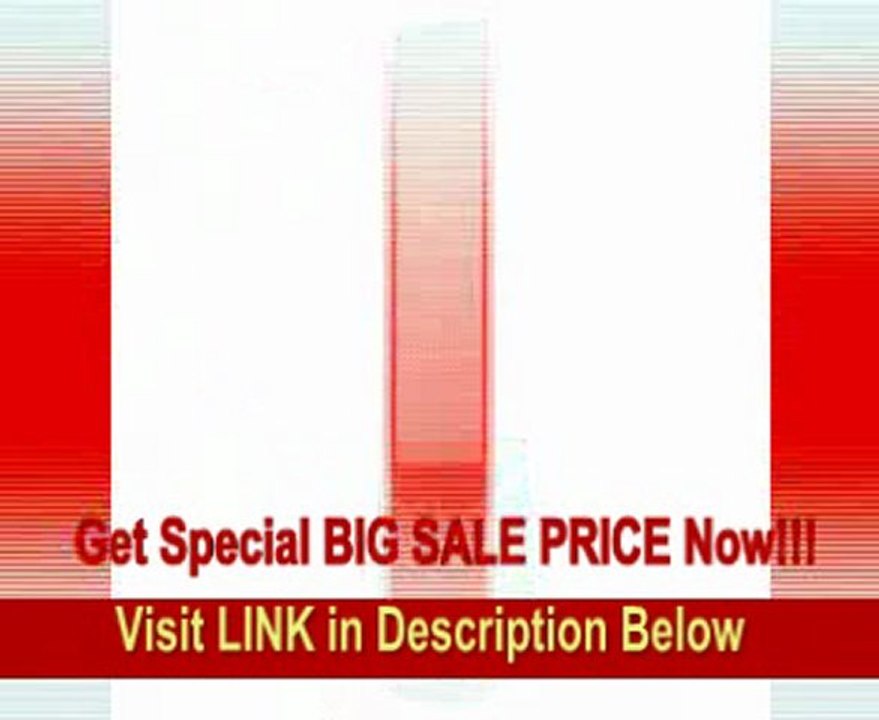 BEST BUY MartinLogan Vista High-Performance Electrostatic Speaker (Single, Natural Cherry/Clear Aluminum)