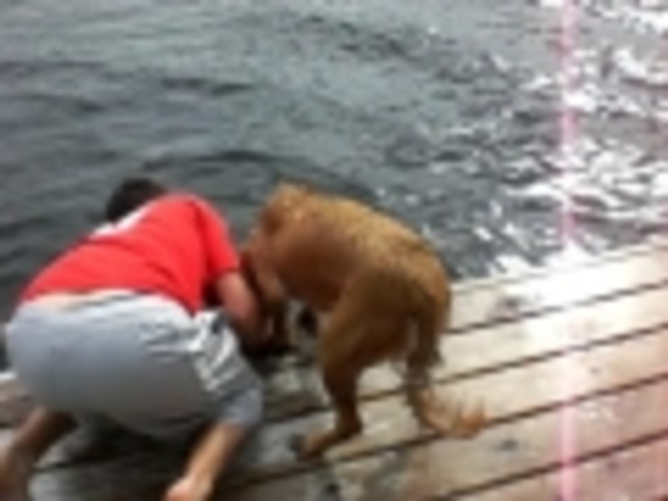 Mitz goes for a swim