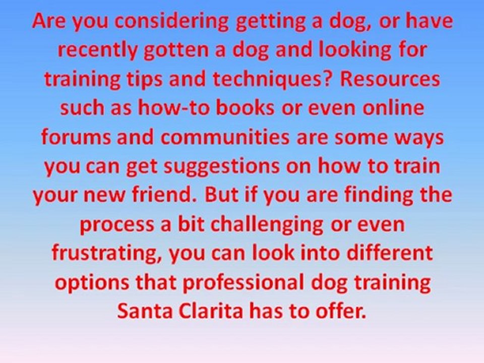 Considering Professional Training For Your Dog