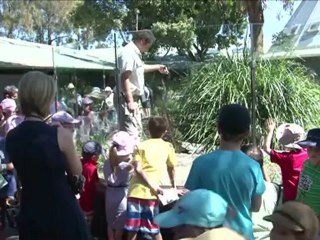 L'Australie abrite les 10 espèces de serpents les plus mortelles