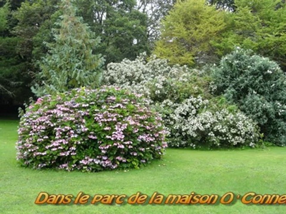 Anneau du Kerry
