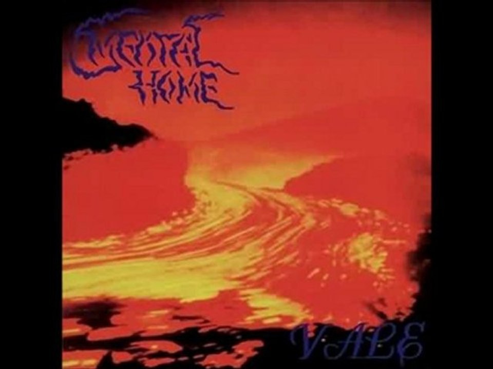 Mental Home: The Euphoria