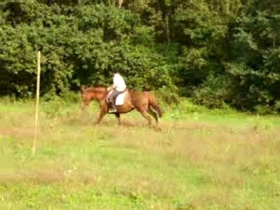 Slalom Cathy