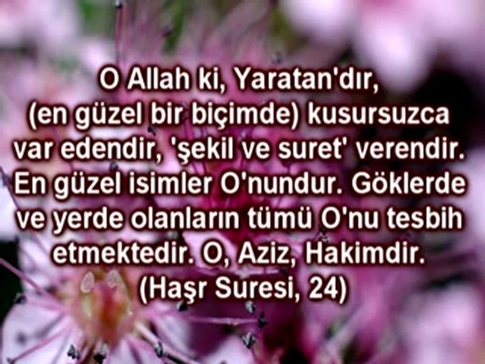 VÜCUDU TEMİZLEYEN LİZOZOM ENZİMİ