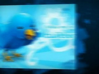 Buy Twitter Followers