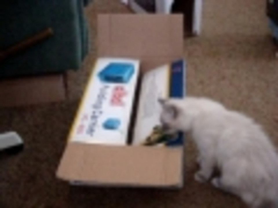 Box of fun