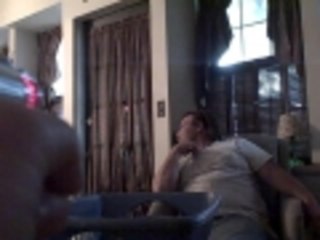 Funny Boston Terrier Jump