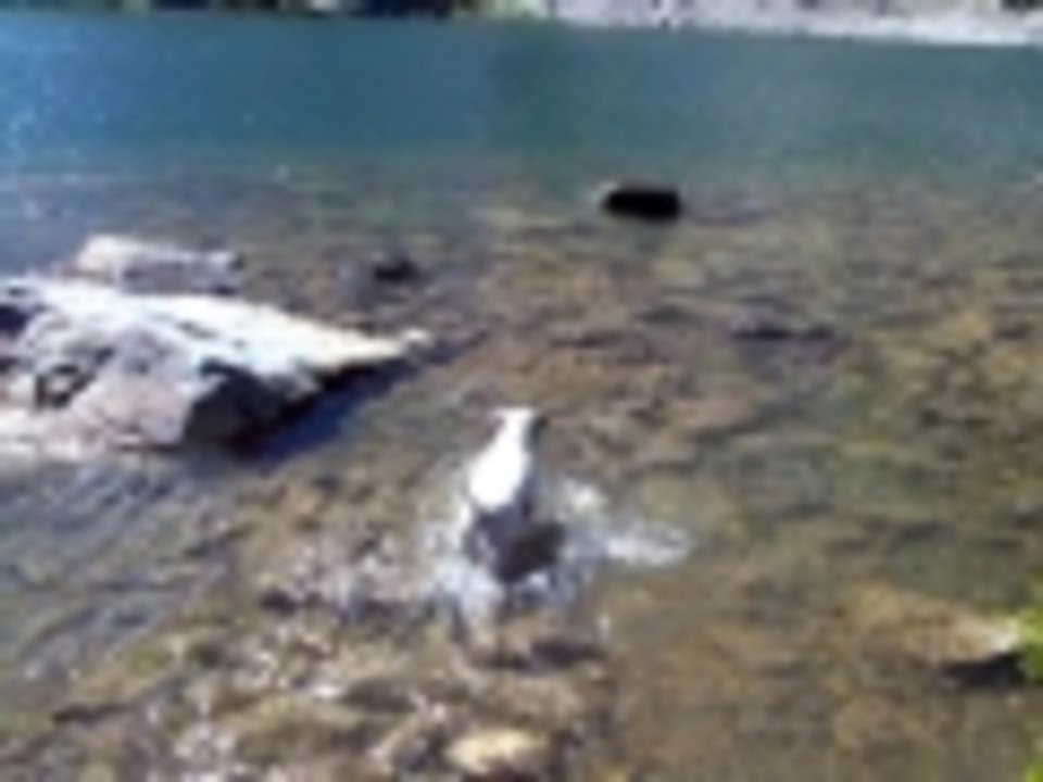 cold swim