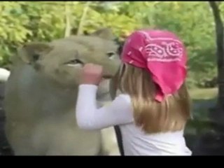 Aslan, Küçük Kızı Böyle Korkuttu!