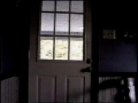 Doggie in the Window