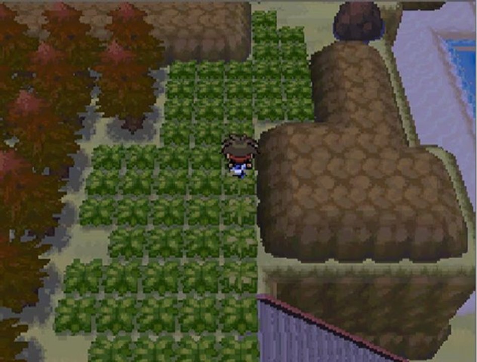 let's play pokémon noir 2 épisode 21 route 14, route 13