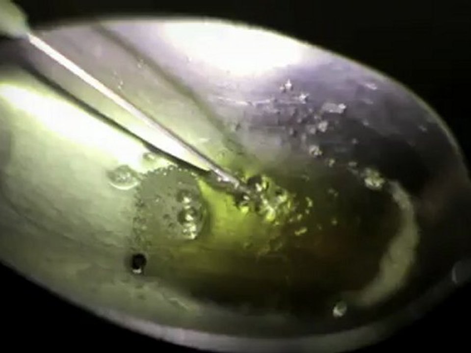 MZ Music feat Krystal - Jok Pololo & Roch Colombani