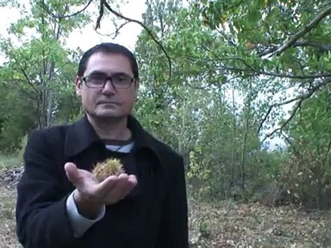 Le SUD, vous en faites tout un plat Potage de châtaignes au céleri