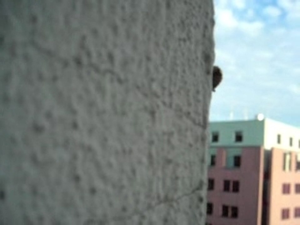 auf der mauer, auf der lauer v1