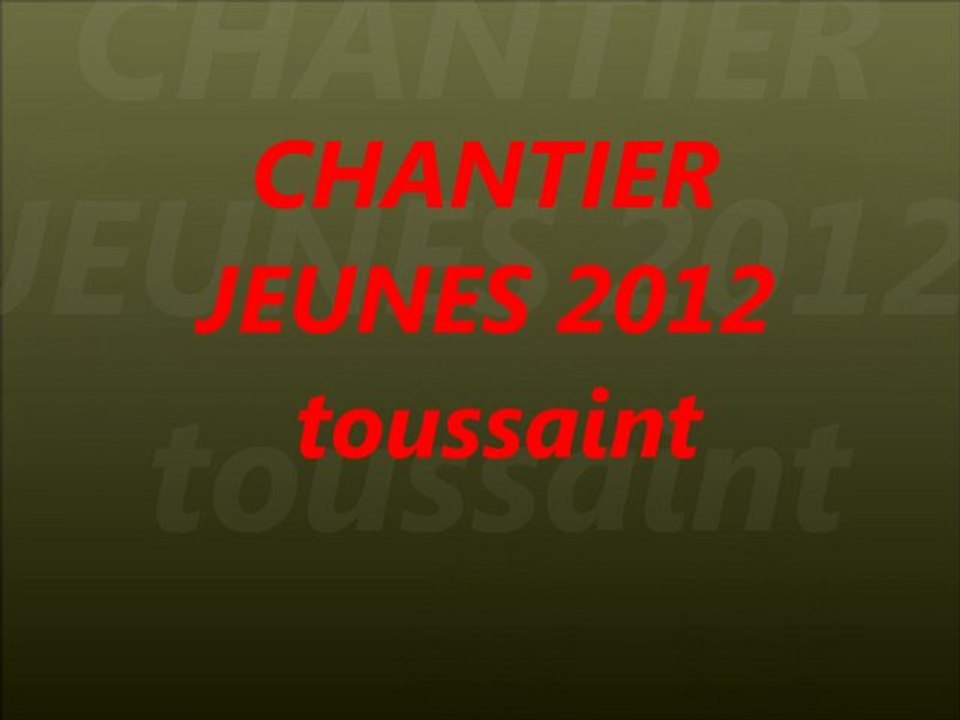 Chantier 2012 espace junior de fontenay-le-comte