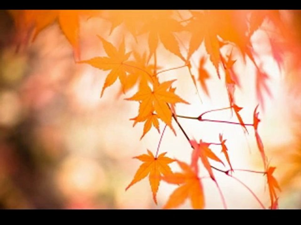 Wunderbarer Herbst im Jahre 2012