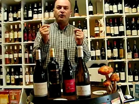 Couleur d'azur - Domaine Saint Nicolas - Les Clous - Fiefs Vendéens Blanc 2011