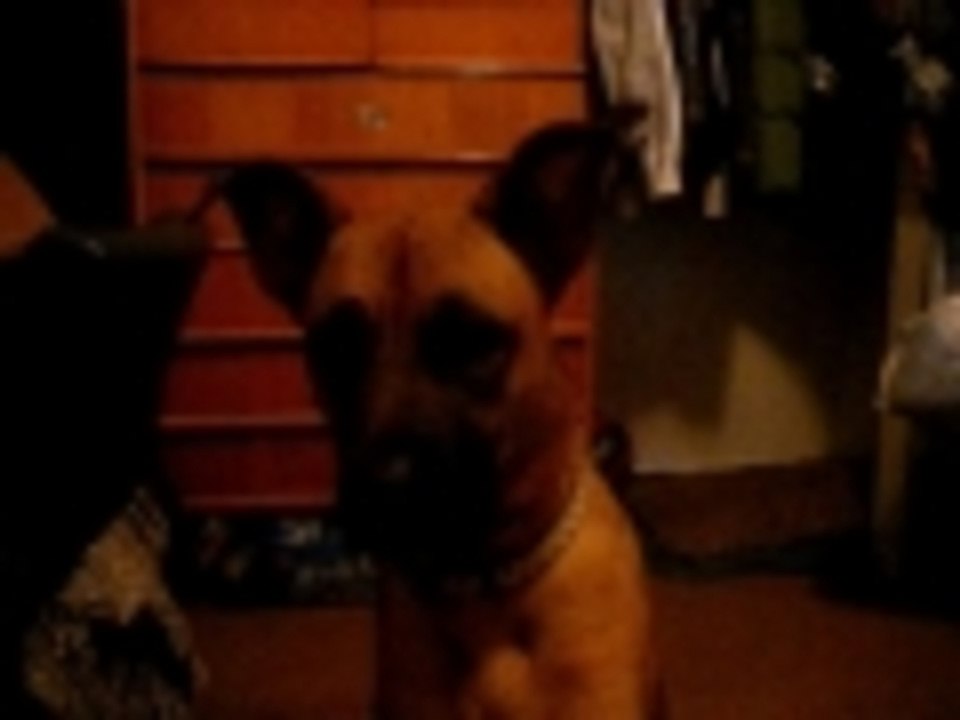 Nala talk
