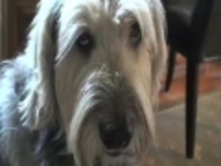 Its Todds Show 1 PSYCHO DATE and MAD MIKE