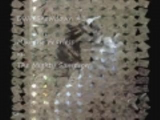 Recap_2009 puppy dog wrestling championship