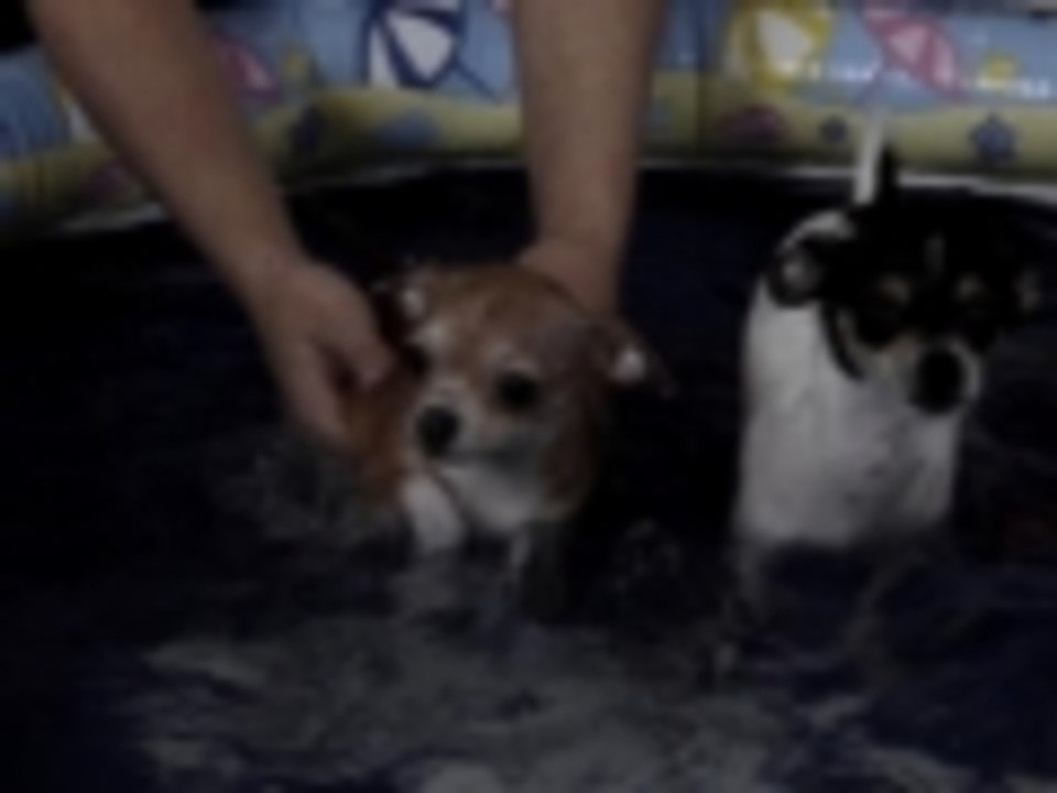 Swim time keeps going and going and going