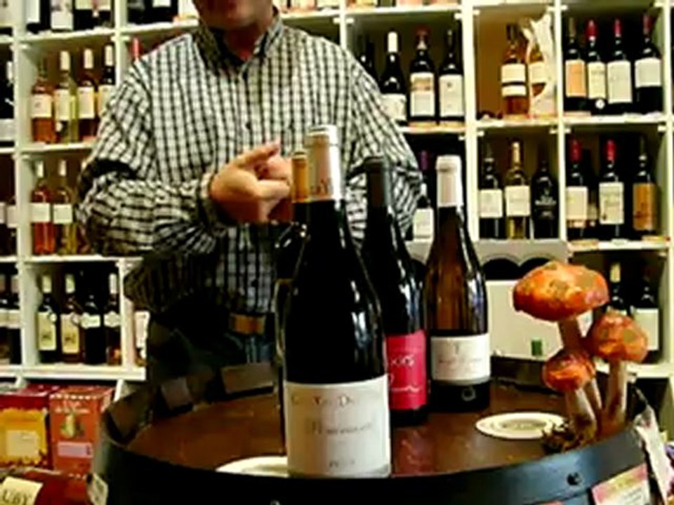 Couleur d'azur - Domaine Guy et Yvan Dufouleur - Pommard 2009